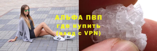 крисы Магадан