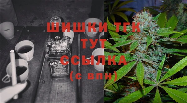 крисы Магадан