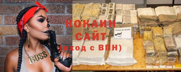 крисы Магадан
