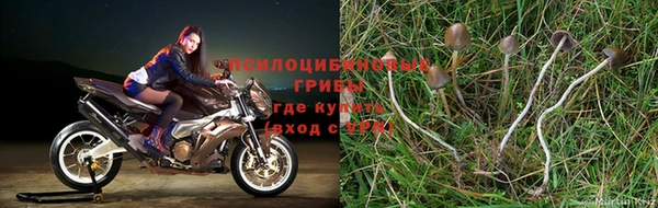 ALPHA-PVP Магас