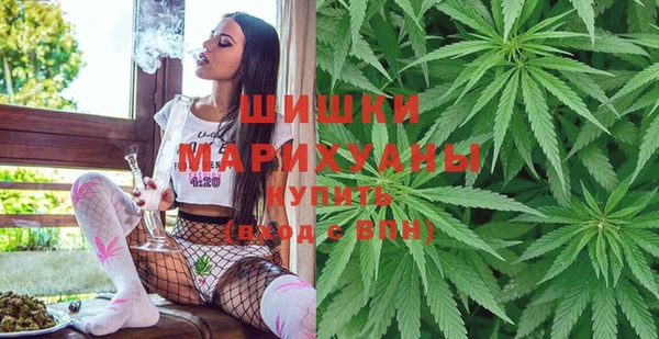 крисы Магадан