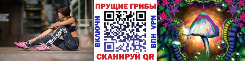 сайты даркнета формула  Ува  Псилоцибиновые грибы Magic Shrooms  OMG ссылки 